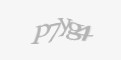 Защитный код